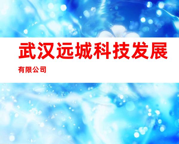 武汉远城科技发展有限公司